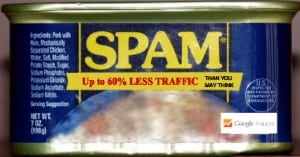 Analytics referral spam