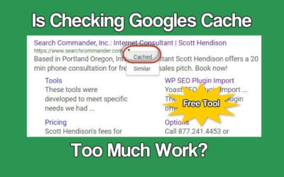 Tool to View Googles Cache