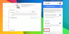 Google Passwords Not Loading
